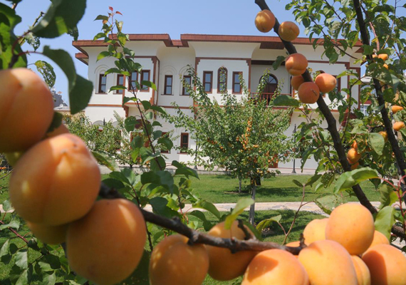 Bağcılar / İstanbul